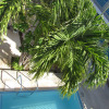 Отель Blue Coconut Cancun Hotel, фото 11