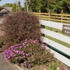 Отель Lakeview Heights B&B Farmstay, фото 15