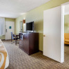 Отель The Buena Park Hotel & Suites, фото 6