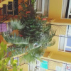 Отель Guest House on Rustaveli 205, фото 7