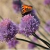 Отель Agriturismo Lemire, фото 20