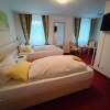 Отель Room in Guest Room - Pension Forelle - Double Room, фото 2