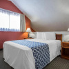 Отель Cloverleaf Suites Columbia, фото 4
