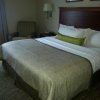 Отель Candlewood Suites Virginia Beach Town Center, an IHG Hotel, фото 5