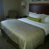 Отель Candlewood Suites Virginia Beach Town Center, an IHG Hotel, фото 6