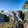 Отель Kona Coast Resort at Keauhou Gardens 8204, фото 17