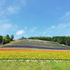 Отель hanafuji inn, фото 9