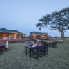 Отель Serengeti Acacia Central Camp, фото 7