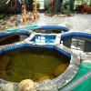 Отель Gaoyangshan Hot Spring International Resort, фото 17