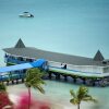 Отель Starfish Halcyon Cove Resort Antigua-All Inclusive, фото 11