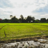 Отель Bannkrithamed Chiangmai, фото 1
