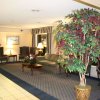Отель Hampton Inn Sandusky-Central, фото 28