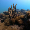 Отель Aquamaster Dive Pousada, фото 19