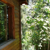 Отель Forest Lodge, фото 6