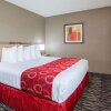Отель Microtel Inn & Suites by Wyndham Charleston WV, фото 14
