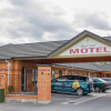 Отель Albert Court Motor Lodge, фото 17