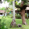 Отель Pousada Sitio Paraiso, фото 19