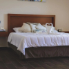 Отель La Lola Hotel & Suites, фото 5