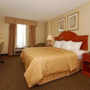 Отель The Clarion Hotel & Suites Conference Center, фото 4
