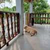 Отель Sawasdee Sichang Resort, фото 20