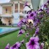 Отель Bianco House Resort, фото 5