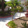 Отель Residence delle Ginestre, фото 1