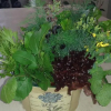 Отель The Herb Cottage, фото 2