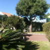 Отель Impeccable 1 Bed Villa in Ribeira Grande, фото 19