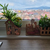 Отель Apartament Central, фото 3