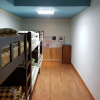 Отель Dongbaekseom Guest House, фото 21