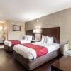 Отель Econo Lodge, фото 11