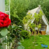 Отель Silent bed and breakfast in Lugu Lake, фото 19