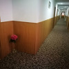 Отель Horsky Hotel Hájenka, фото 14
