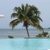 Отель Bahia Salinas Beach Resort & Spa, фото 14