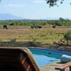 Отель Tangala Safari Camp, фото 9