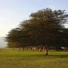 Отель Ol Tukai Lodge Amboseli, фото 38