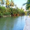 Отель Kalacanal Resort, фото 10