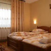 Отель Pensiunea Daiana, фото 5