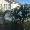 Отель Ocean Green Cottage #9650, фото 24