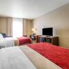 Отель Comfort Inn & Suites, фото 4