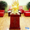 Отель Xinzhou Jinguang Express Hotel, фото 7