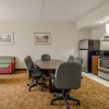 Отель Comfort Inn & Suites Bryant - Benton, фото 4