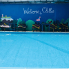 Отель Chillao Hostel, фото 3