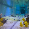 Отель Universal Port, фото 25