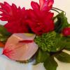 Отель Studio In Schoelcher With Wonderful Sea View Enclosed Garden And Wifi, фото 6