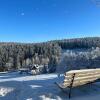 Отель Berghotel Talblick в Рехенберг-Биненмюле