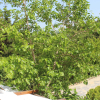 Отель Malbec Otel, фото 6