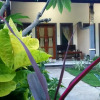 Отель Komang Homestay, фото 4