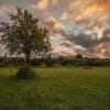 Отель Agriturismo I Mandorli, фото 9