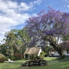 Отель Thokozani Lodge, фото 16